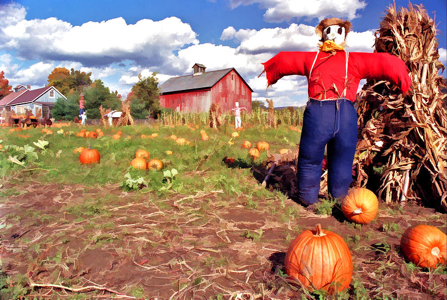 Pumpkin Patch Scarecrow Photograph by Allen Beatty