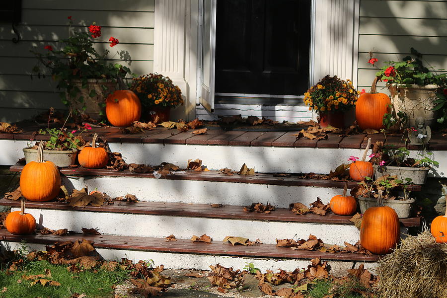 Pumpkin Porch Photograph by Living Color Photography Lorraine Lynch