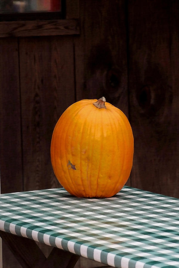 Pumpkin Portrait Photograph by Art Block Collections