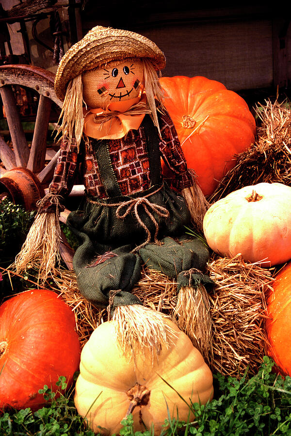 Pumpkin Salesman  Photograph by Paul W Faust - Impressions of Light