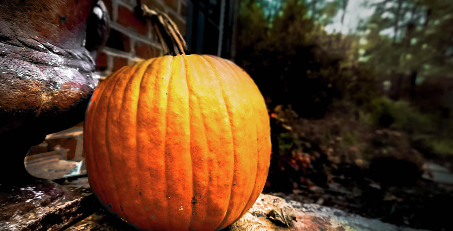 Pumpkin Season Photograph by Jessie Henry
