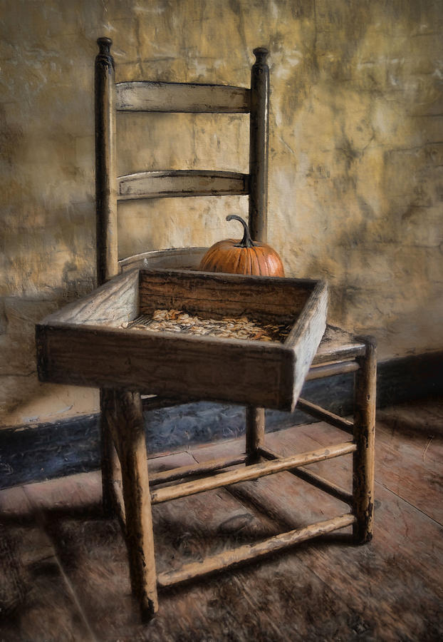 Pumpkin Photograph - Pumpkin Seeds by Robin-Lee Vieira