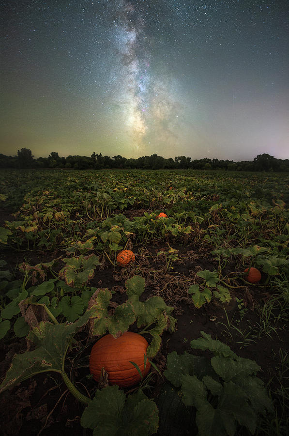 Pumpkin Space  Photograph by Aaron J Groen