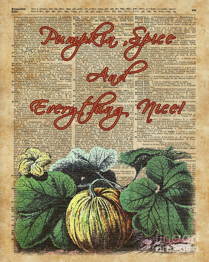Pumpkin Digital Art - Pumpkin Spice And Everyting Nice Thanksgiving Dictionary Art  by Anna W