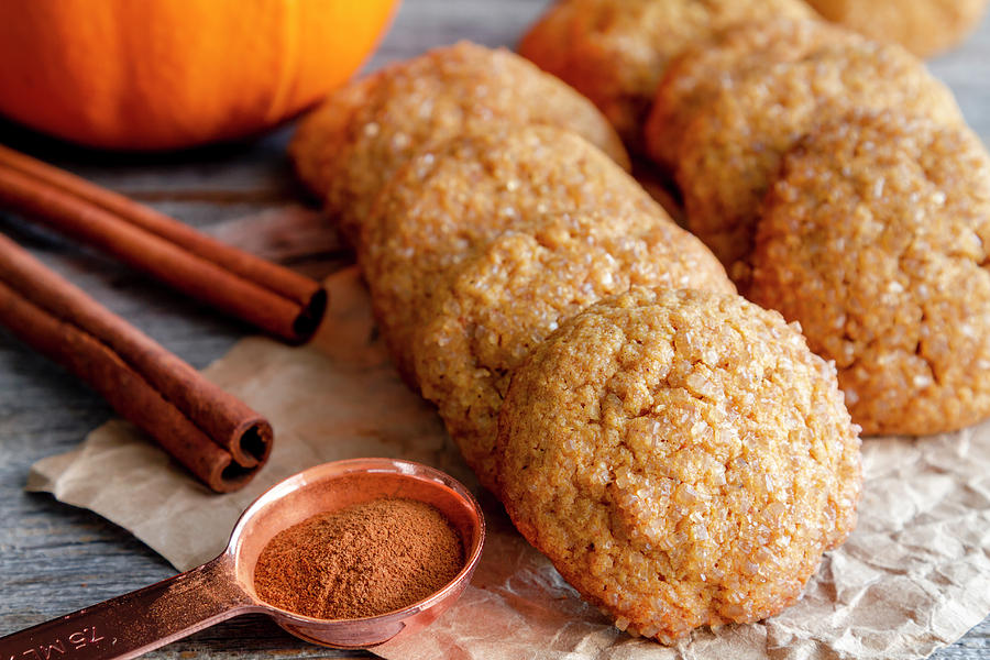Pumpkin Spice Delights Photograph by Teri Virbickis