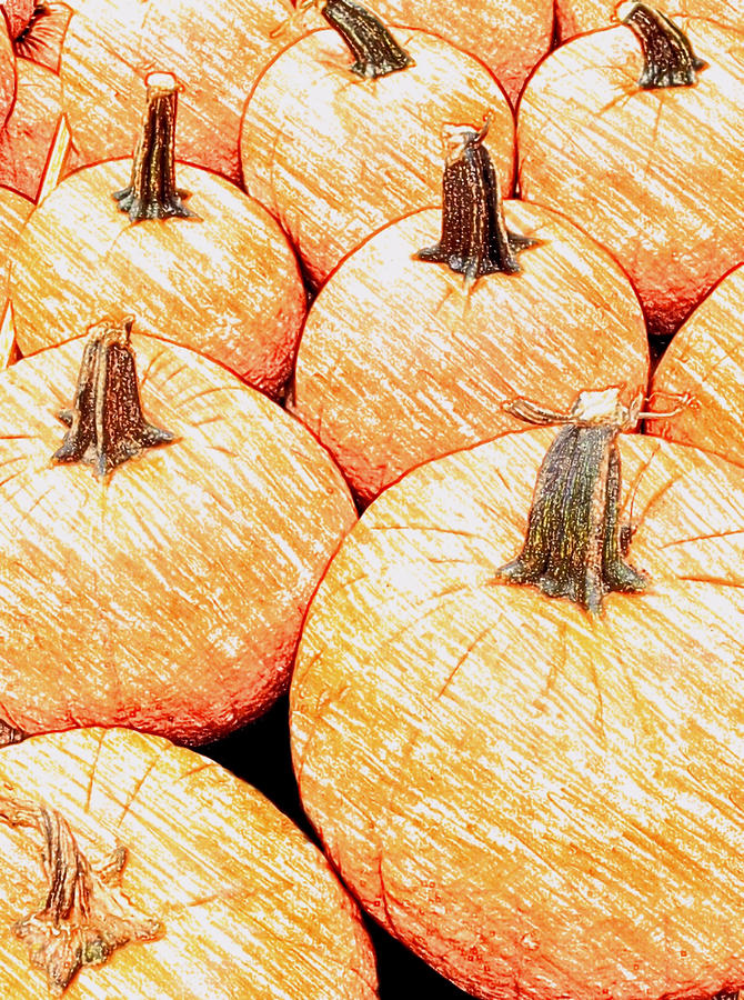 Pumpkin Photograph - Pumpkin Time by Morgan Carter