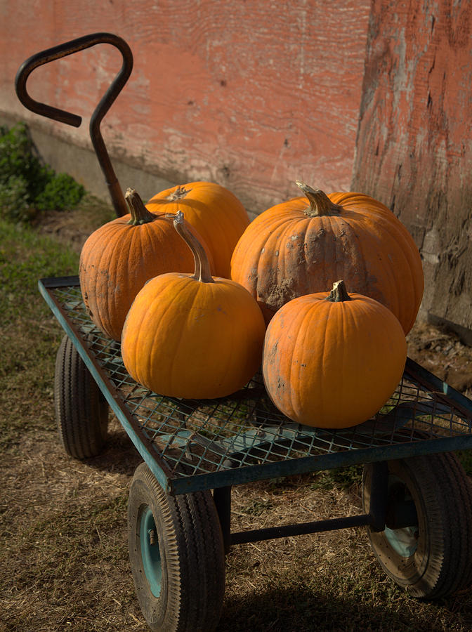 Pumpkin Wagon. Photograph by Spirit Vision Photography - Fine Art America