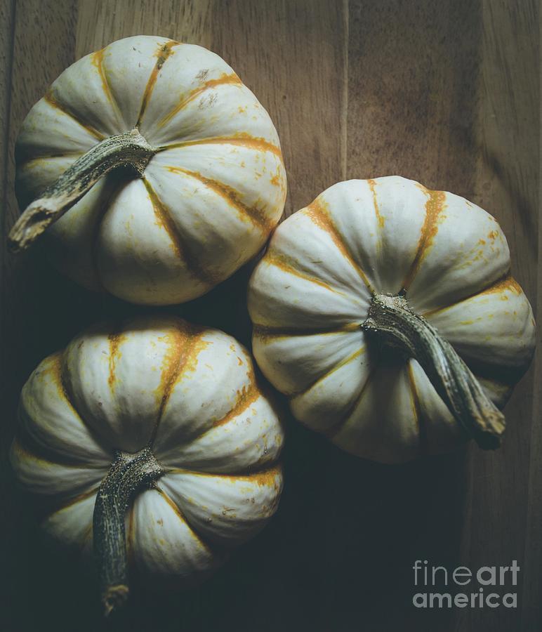 Pumpkins 10 Photograph by Andrea Anderegg