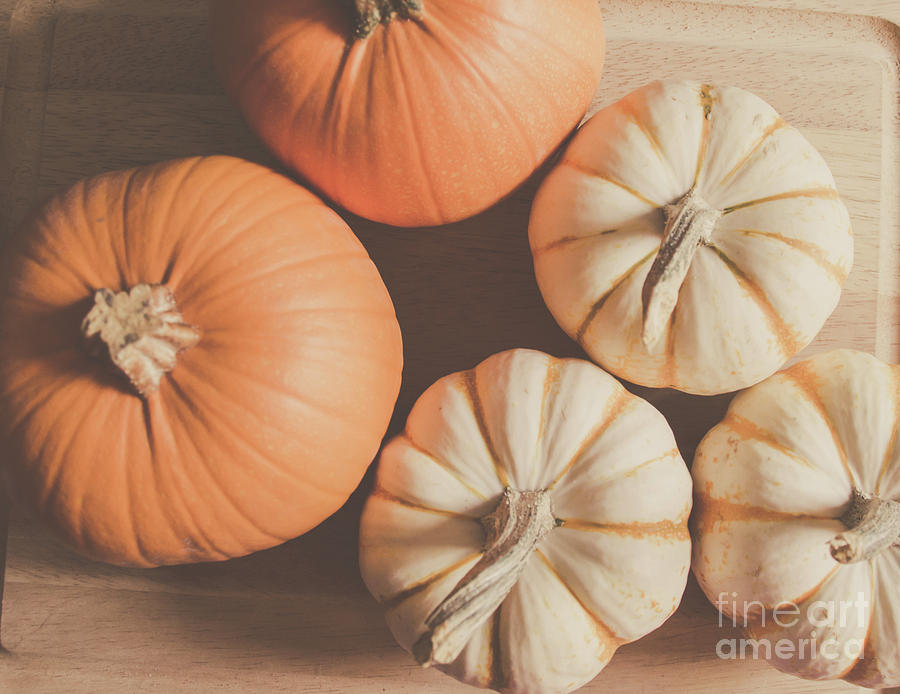 Pumpkins 4 Photograph by Andrea Anderegg