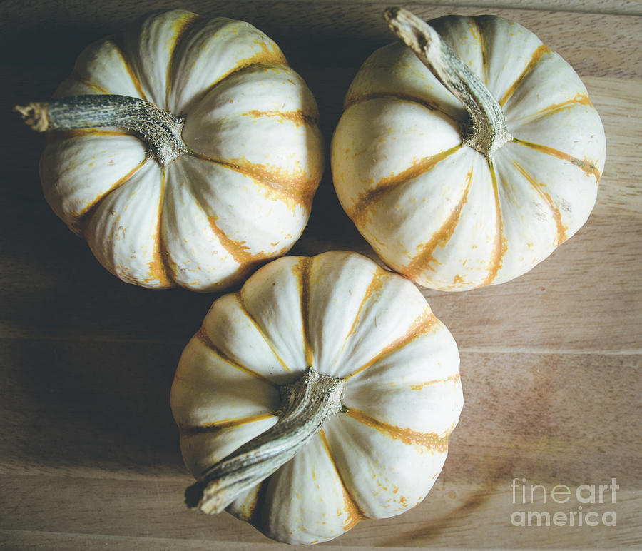 Pumpkins 5 Photograph by Andrea Anderegg