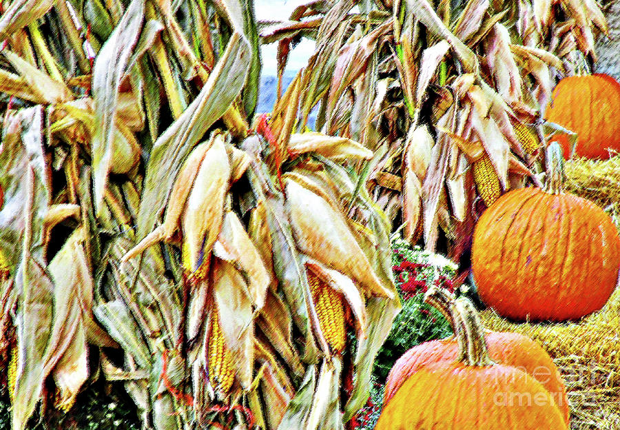 Pumpkins And Corn Pastel