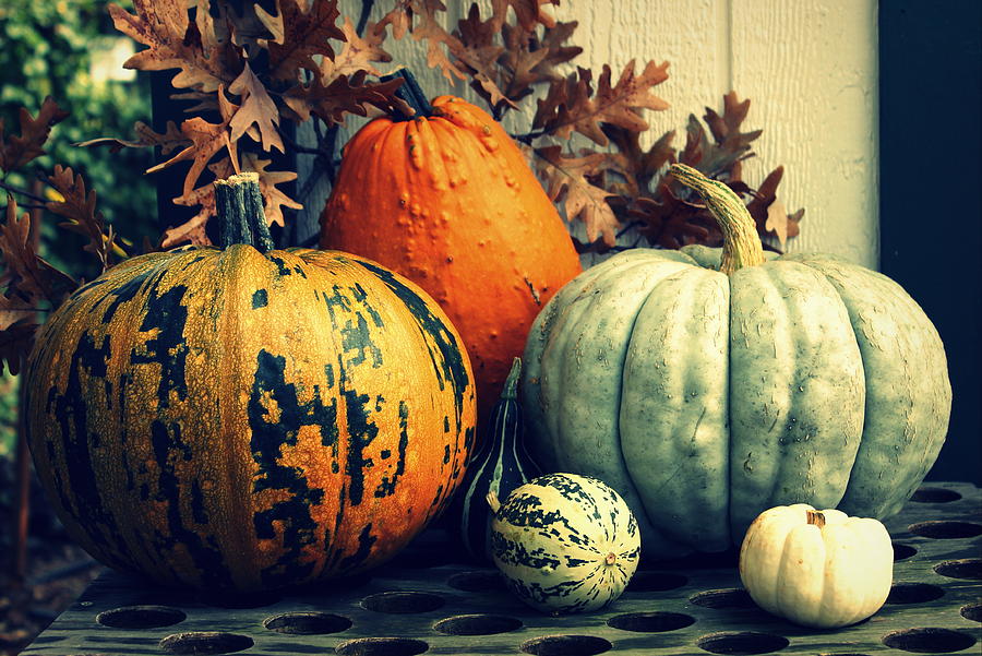 Pumpkin Photograph - Pumpkins And Gourds by Joseph Skompski