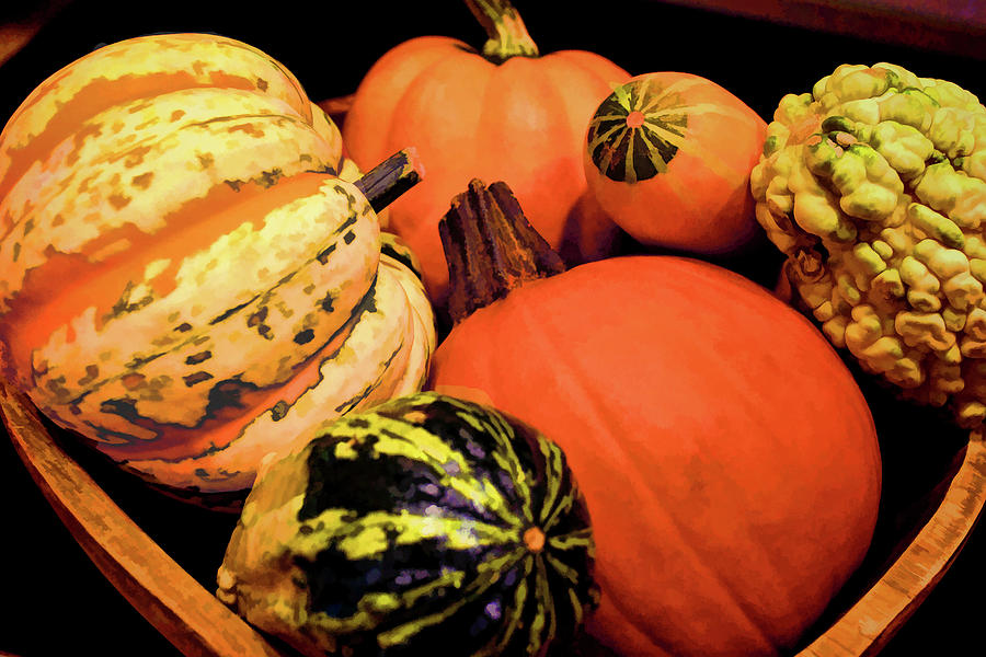 Pumpkins And Gourds Photograph by Sandi OReilly