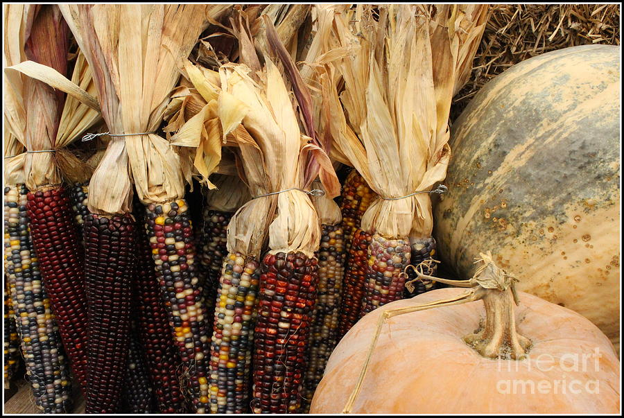 Fall Photograph - Pumpkins and Indian Corn by Dora Sofia Caputo