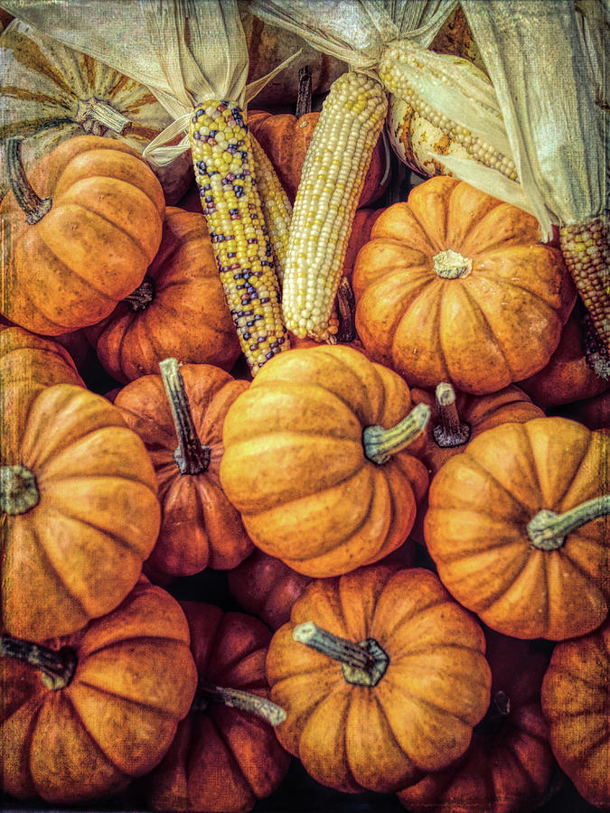 Pumpkins and Indian Corn Photograph by Tom Reynen