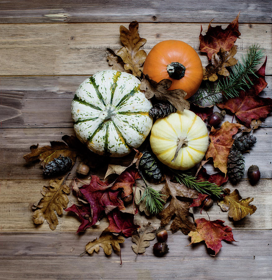 Pumpkins and Leaves Photograph by Rebecca Cozart