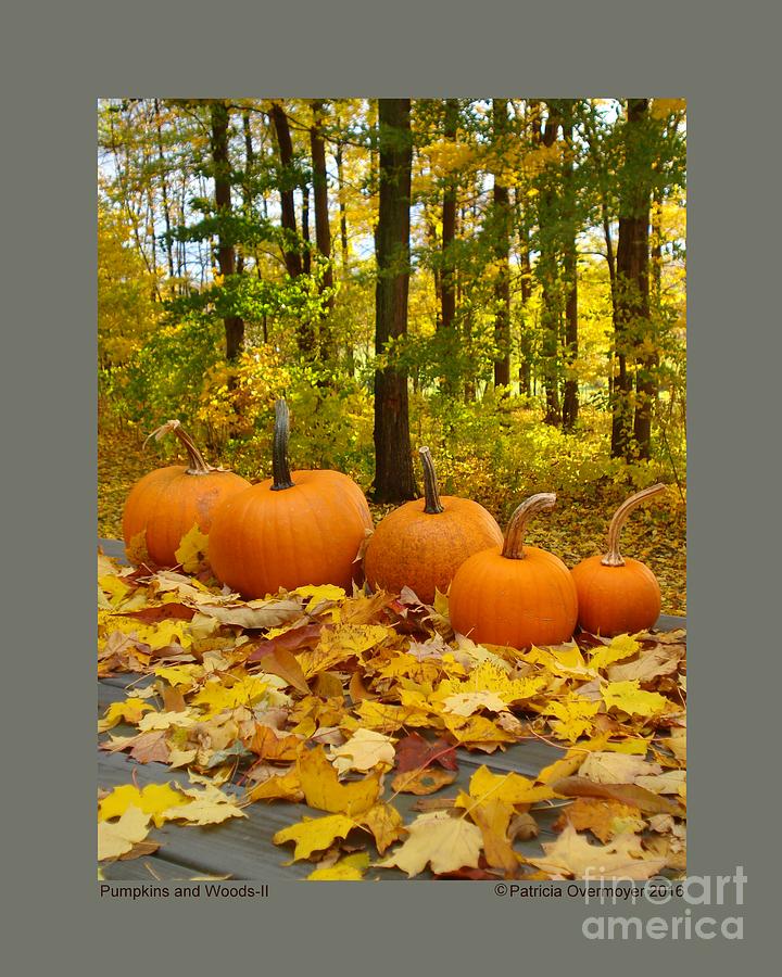 Pumpkins and Woods-II Photograph by Patricia Overmoyer
