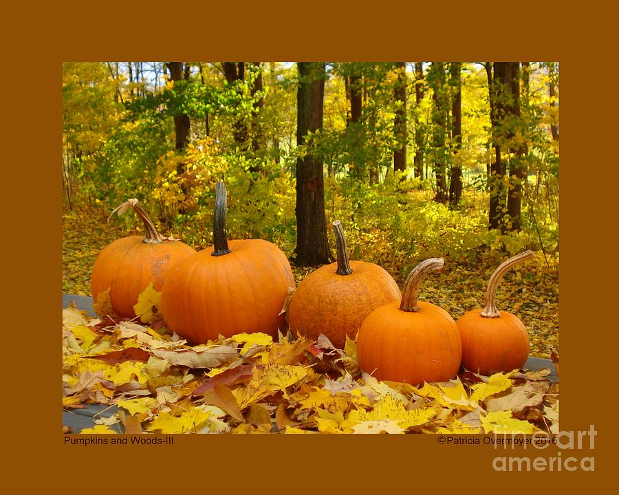 Pumpkins and Woods-III Photograph by Patricia Overmoyer