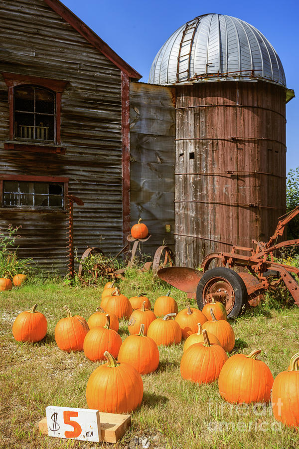 Pumpkins for Sale Old New England Farm Photograph by Edward Fielding