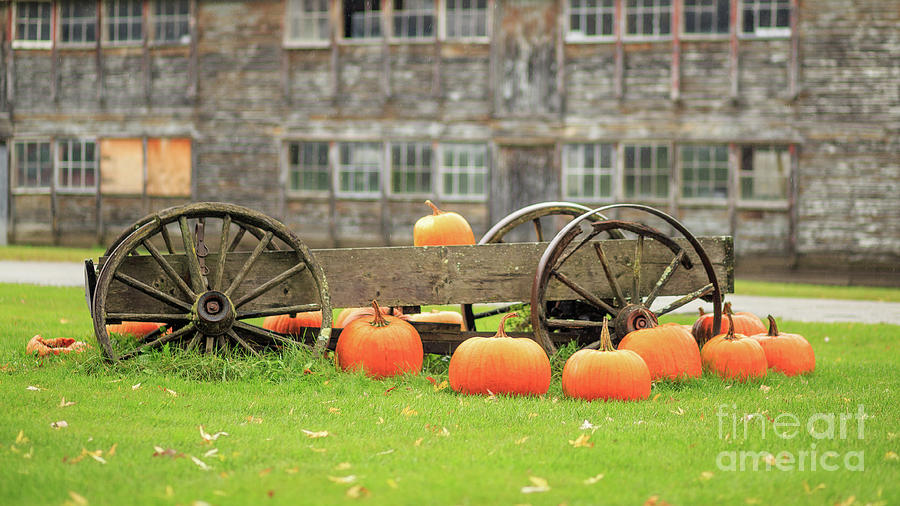 Pumpkins for Sale Stowe Vermont Photograph by Edward Fielding