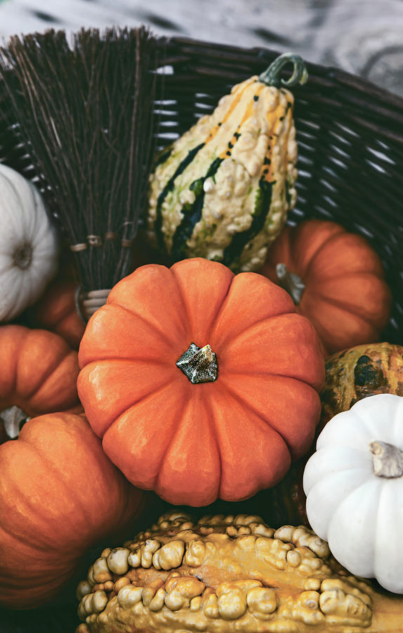 Pumpkins For Season Holiday by Evgeniya Lystsova Pumpkins For Season Holiday by Evgeniya Lystsova