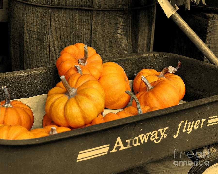 Pumpkins In A Wagon Photograph by Smilin Eyes Treasures