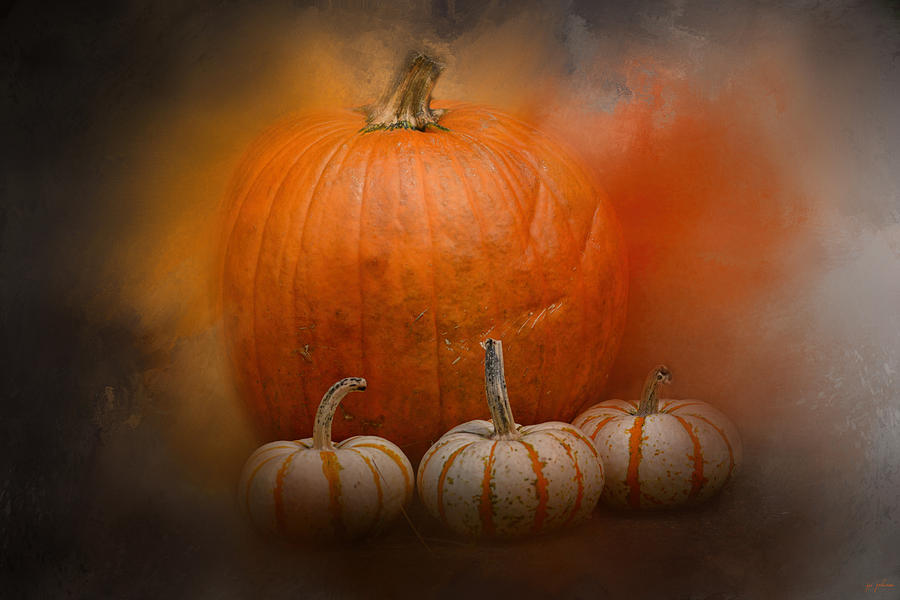 Pumpkins In October Photograph by Jai Johnson