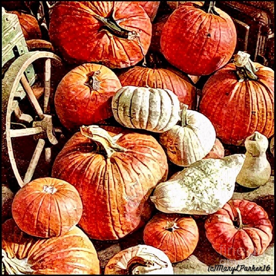 Fall Mixed Media - Pumpkins In The Barn by MaryLee Parker