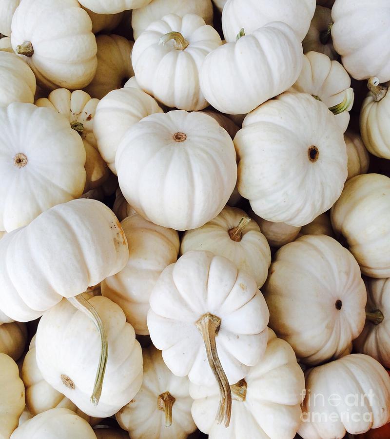 Pumpkins in White Photograph by Onedayoneimage Photography