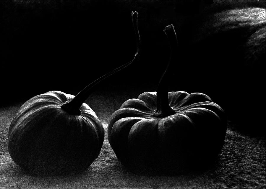 Pumpkins Photograph by Jarmo Honkanen