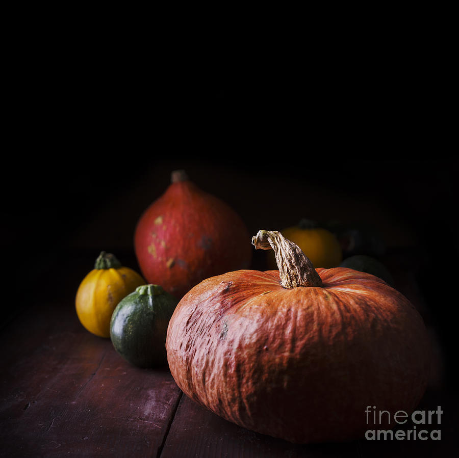 Pumpkins Photograph by Jelena Jovanovic