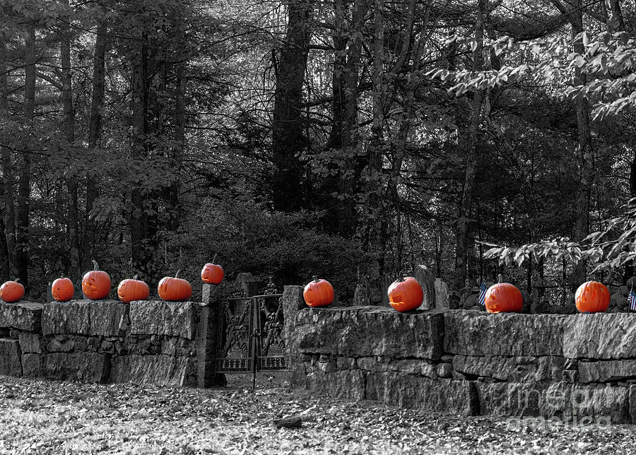 Pumpkins on a wall Photograph by Mim White