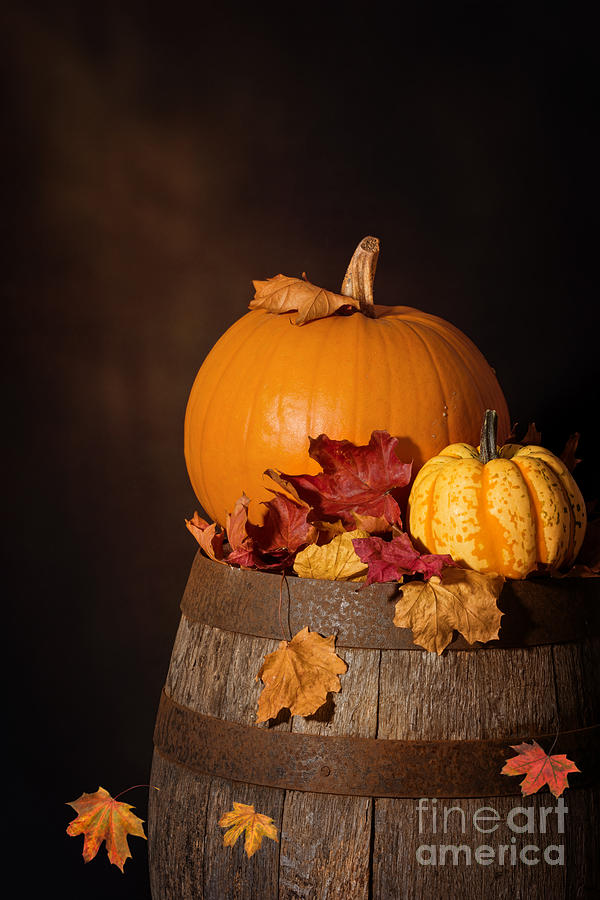 Fall Photograph - Pumpkins On Barrel by Amanda Elwell
