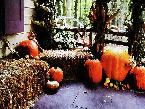 Pumpkins on Porch Photograph by Susan Savad