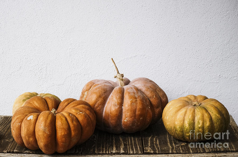 Pumpkins Photograph by Perry Van Munster