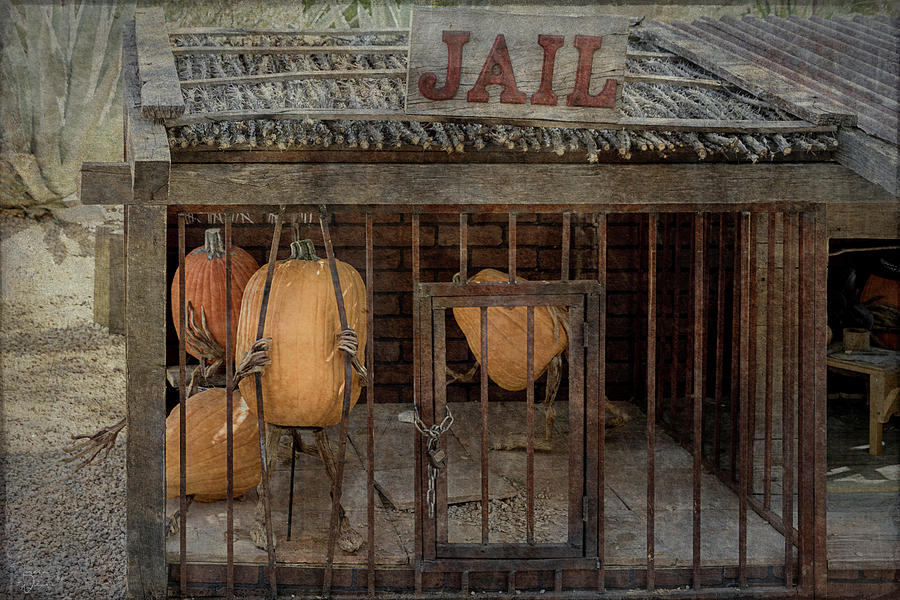 Pumpkins Planning a Jail Break Photograph by Teresa Wilson