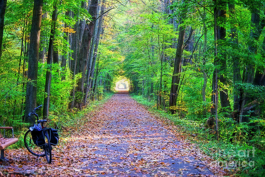 Pumpkinvine Trail in Fall Colors Photograph by David Arment