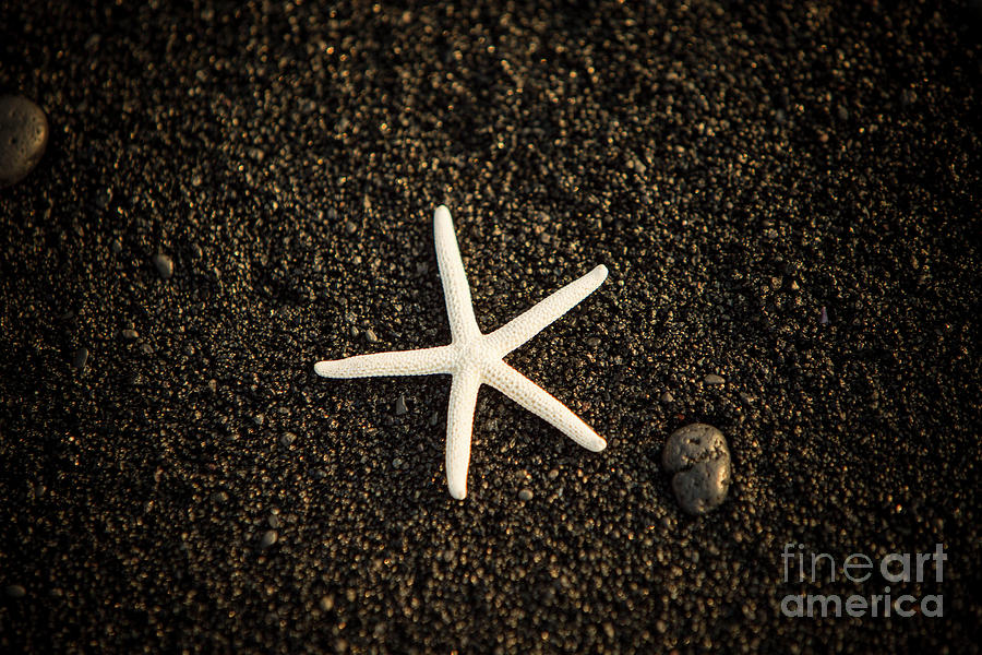Punaluu Beach 5 Photograph by Daniel Knighton
