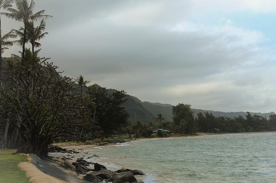 Punaluu Shoreline Photograph
