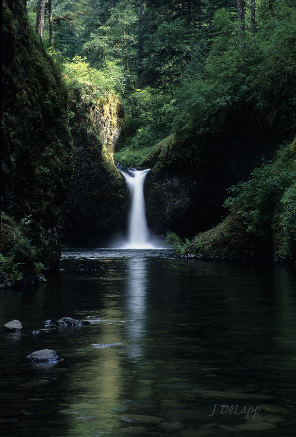 Punch Bowl Falls Photograph by Janet DeLapp