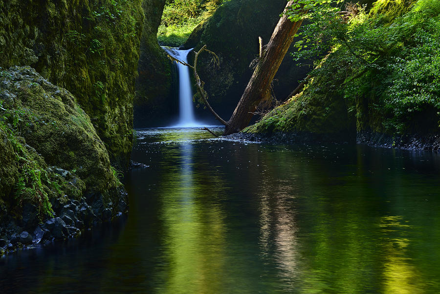 Punchbowl Falls Photograph by Walt Sterneman