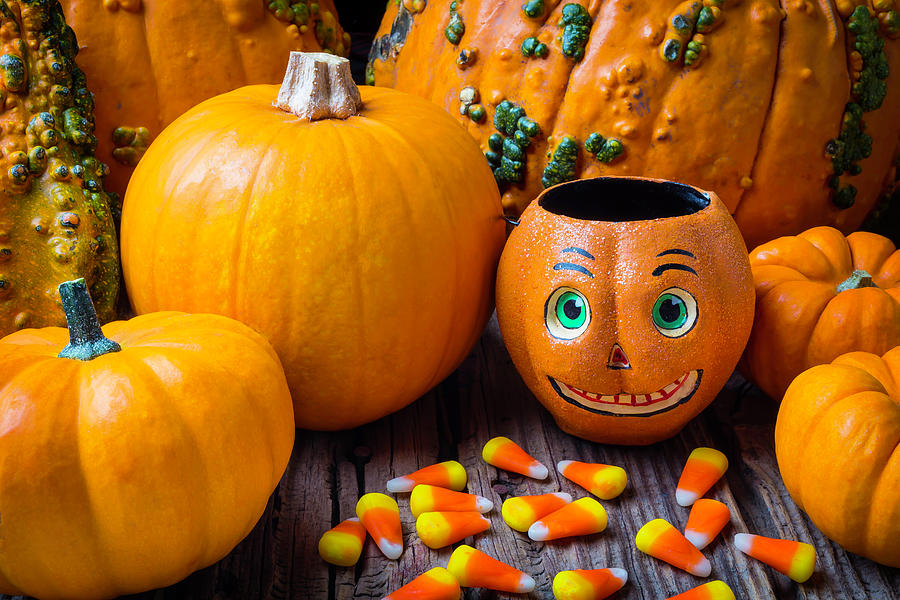 Punkin Face And Candy Corn Photograph by Garry Gay