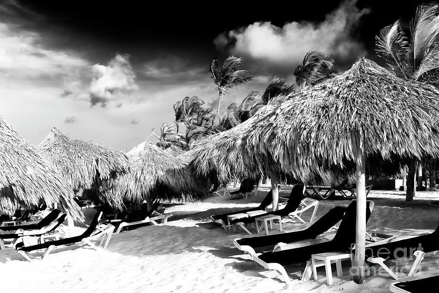 Punta Cana Choices Photograph by John Rizzuto