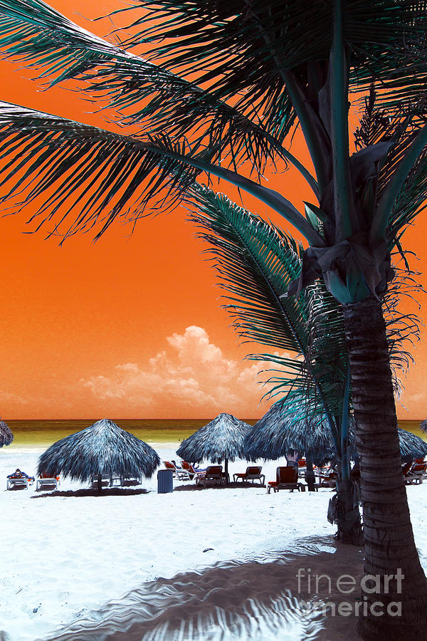 Punta Cana Pop Art Photograph by John Rizzuto