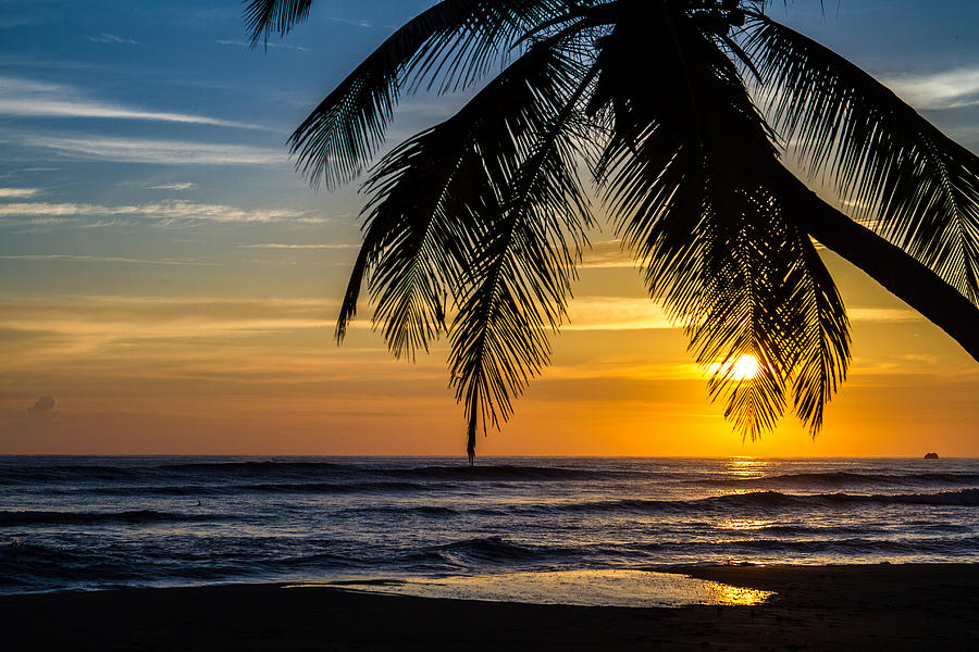 Punta Cana Sunrise - 04 - Palm Tree Silhouette Photograph by Don ...
