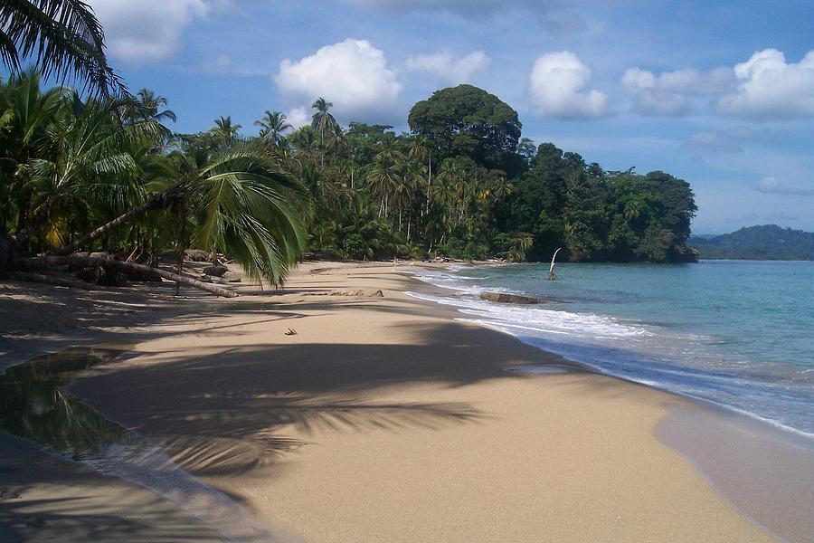 Punta Uva Costa Rica Photograph by Jan Dineen | Fine Art America