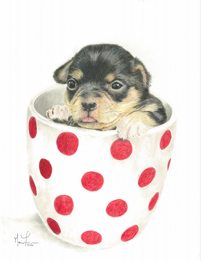 pup in a cup toy