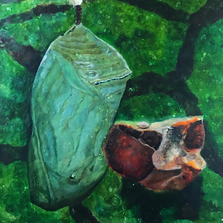 Pupa and Rock Painting by Greg Hester