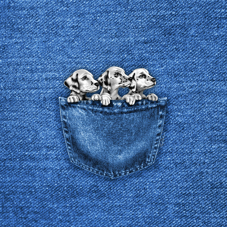 Puppies In A Pocket Digital Art by Cindy Anderson