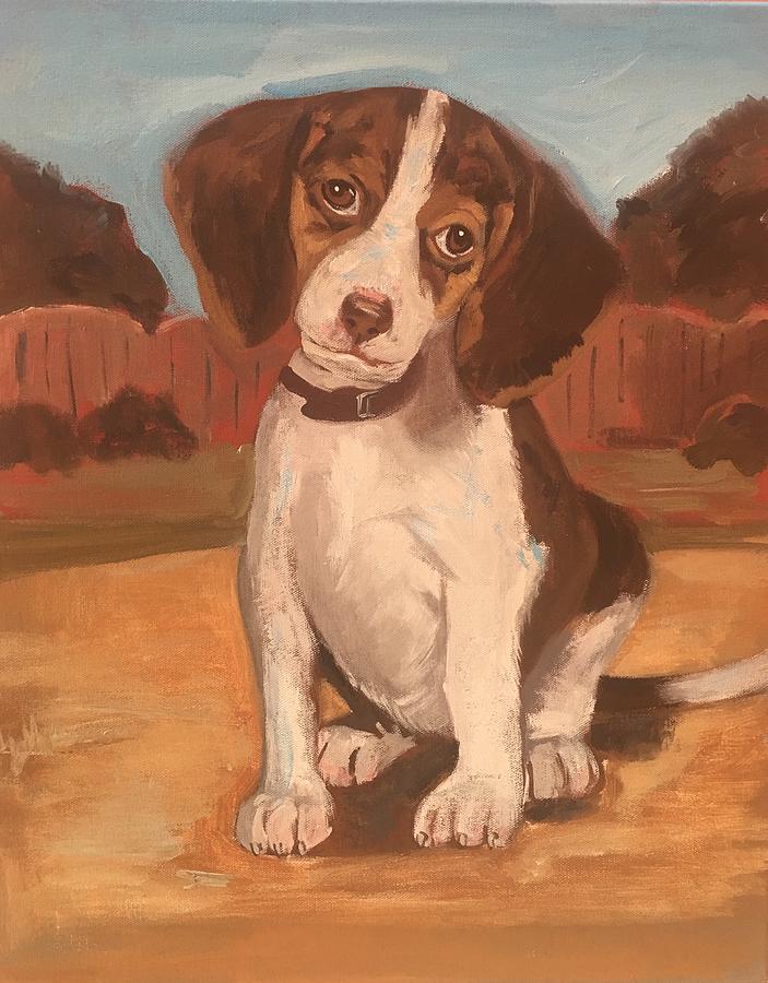 Puppy 1 by Alejandro Lopez-Tasso Puppy 1 by Alejandro Lopez-Tasso